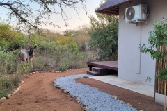 chalet4kudu