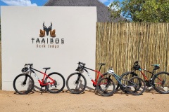 bicycles