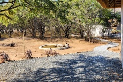boma6