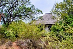 giraffe_chalet3kingxl