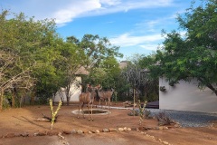 kudus2