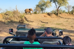 taaibosbushlodge11